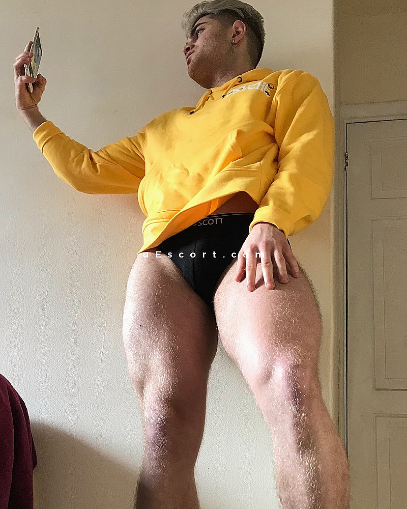 gay tube pics gay sex photos and videos